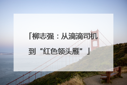 柳志强：从滴滴司机到“红色领头雁”