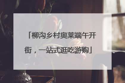 柳沟乡村奥莱端午开街，一站式逛吃游购