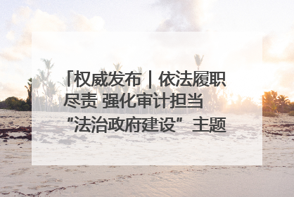权威发布｜依法履职尽责 强化审计担当 “法治政府建设”主题系列新闻发布会市审计局专场召开