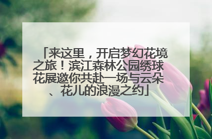 来这里，开启梦幻花境之旅！滨江森林公园绣球花展邀你共赴一场与云朵、花儿的浪漫之约