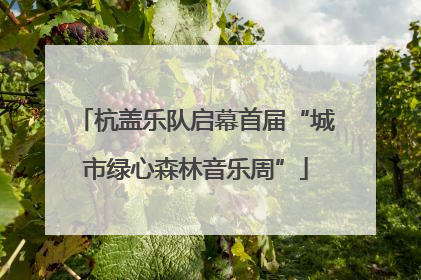 杭盖乐队启幕首届“城市绿心森林音乐周”