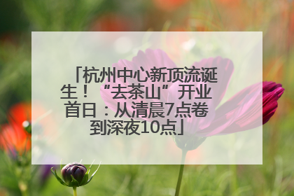 杭州中心新顶流诞生！“去茶山”开业首日：从清晨7点卷到深夜10点