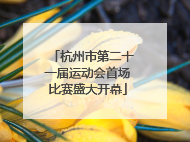 杭州市第二十一届运动会首场比赛盛大开幕