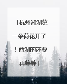 杭州湘湖第一朵荷花开了！西湖的还要再等等