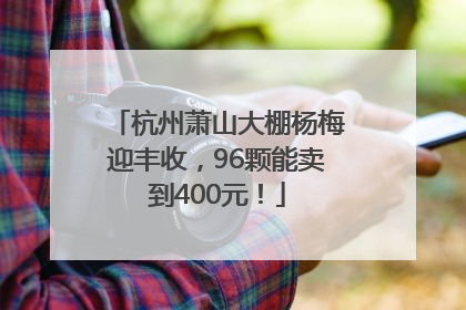 杭州萧山大棚杨梅迎丰收，96颗能卖到400元！