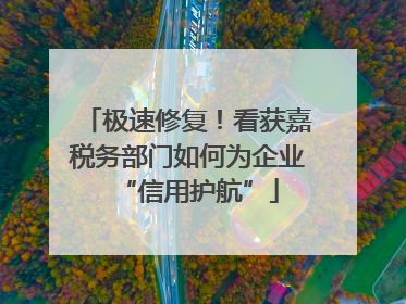 极速修复！看获嘉税务部门如何为企业“信用护航”
