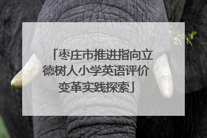 枣庄市推进指向立德树人小学英语评价变革实践探索