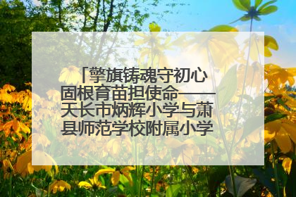 擎旗铸魂守初心 固根育苗担使命——天长市炳辉小学与萧县师范学校附属小学结对共建活动纪实