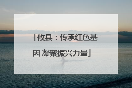 攸县：传承红色基因 凝聚振兴力量
