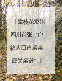 攀枝花发出四川首张“户籍人口直系亲属关系谱”