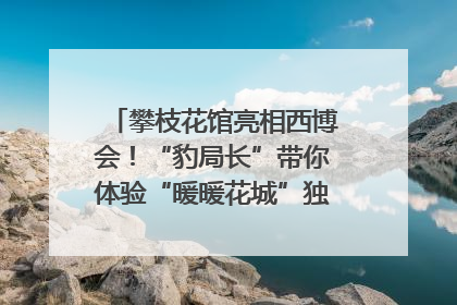 攀枝花馆亮相西博会！“豹局长”带你体验“暖暖花城”独特魅力｜西博视界