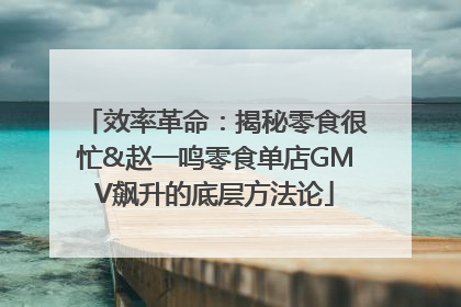 效率革命：揭秘零食很忙&赵一鸣零食单店GMV飙升的底层方法论