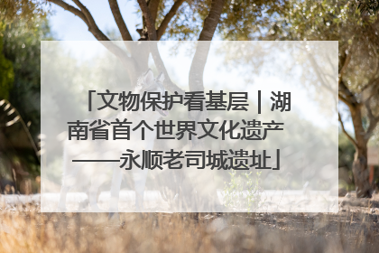 文物保护看基层｜湖南省首个世界文化遗产——永顺老司城遗址