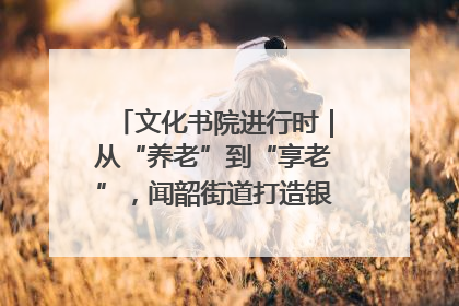 文化书院进行时｜从“养老”到“享老”，闻韶街道打造银龄幸福新图景