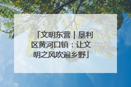 文明东营｜垦利区黄河口镇：让文明之风吹遍乡野