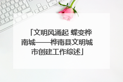 文明风涌起 蝶变桦南城——桦南县文明城市创建工作综述