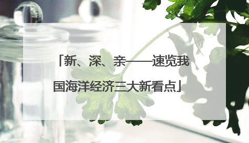 新、深、亲——速览我国海洋经济三大新看点