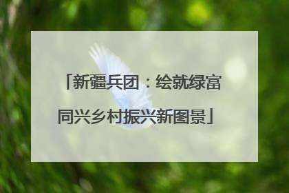 新疆兵团：绘就绿富同兴乡村振兴新图景