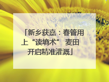 新乡获嘉：春管用上“读墒术” 麦田开启精准灌溉