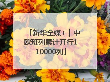 新华全媒+｜中欧班列累计开行110000列