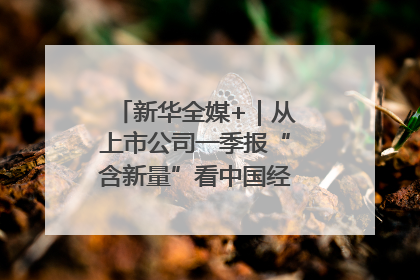 新华全媒+｜从上市公司一季报“含新量”看中国经济发展向“新”