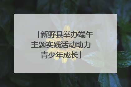 新野县举办端午主题实践活动助力青少年成长