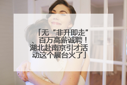 无“非升即走”、百万高薪诚聘！湖北赴南京引才活动这个展台火了