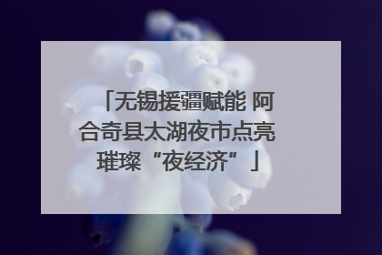 无锡援疆赋能 阿合奇县太湖夜市点亮璀璨“夜经济”