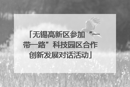 无锡高新区参加“一带一路”科技园区合作创新发展对话活动