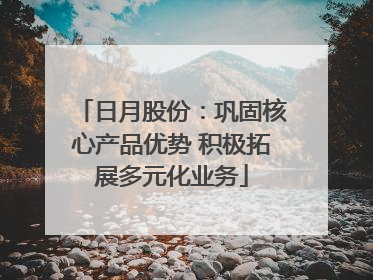 日月股份：巩固核心产品优势 积极拓展多元化业务