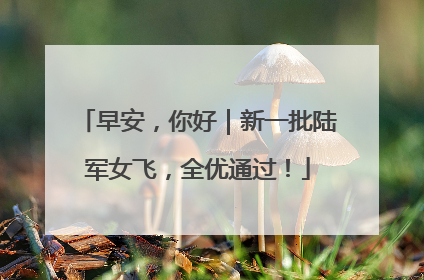 早安，你好｜新一批陆军女飞，全优通过！