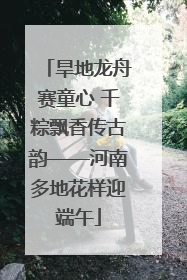 旱地龙舟赛童心 千粽飘香传古韵——河南多地花样迎端午