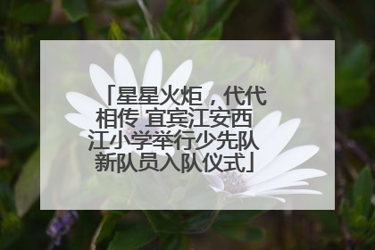 星星火炬，代代相传 宜宾江安西江小学举行少先队新队员入队仪式