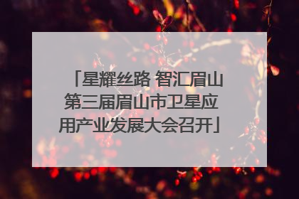 星耀丝路 智汇眉山 第三届眉山市卫星应用产业发展大会召开