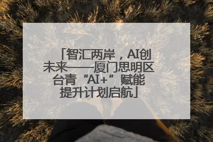 智汇两岸，AI创未来——厦门思明区台青“AI+”赋能提升计划启航