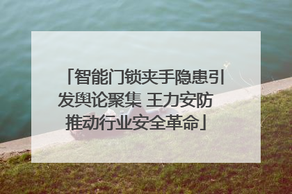 智能门锁夹手隐患引发舆论聚集 王力安防推动行业安全革命