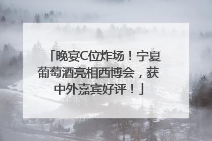 晚宴C位炸场！宁夏葡萄酒亮相西博会，获中外嘉宾好评！
