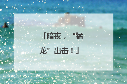 暗夜，“猛龙”出击！