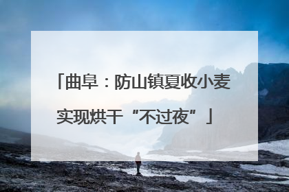 曲阜：防山镇夏收小麦实现烘干“不过夜”