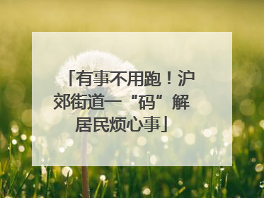 有事不用跑！沪郊街道一“码”解居民烦心事