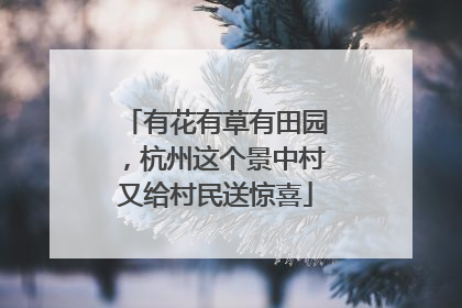 有花有草有田园，杭州这个景中村又给村民送惊喜