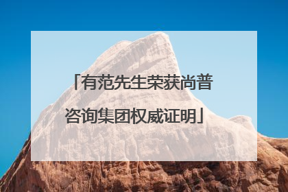 有范先生荣获尚普咨询集团权威证明