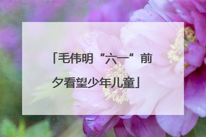 毛伟明“六一”前夕看望少年儿童