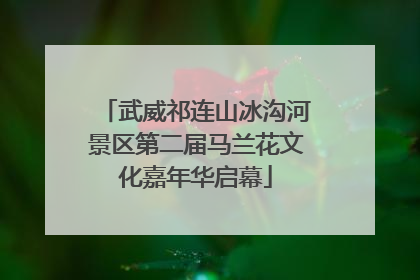 武威祁连山冰沟河景区第二届马兰花文化嘉年华启幕