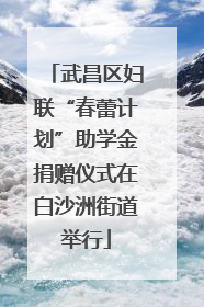 武昌区妇联“春蕾计划”助学金捐赠仪式在白沙洲街道举行