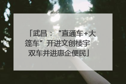 武昌：“直通车+大篷车”开进文创楼宇 双车并进惠企便民