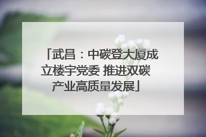 武昌：中碳登大厦成立楼宇党委 推进双碳产业高质量发展