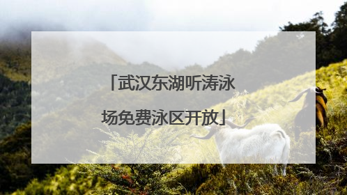 武汉东湖听涛泳场免费泳区开放