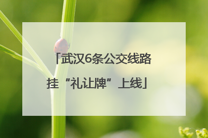 武汉6条公交线路挂“礼让牌”上线