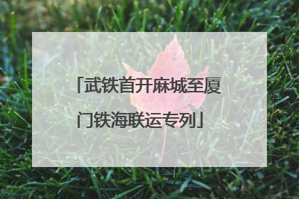 武铁首开麻城至厦门铁海联运专列